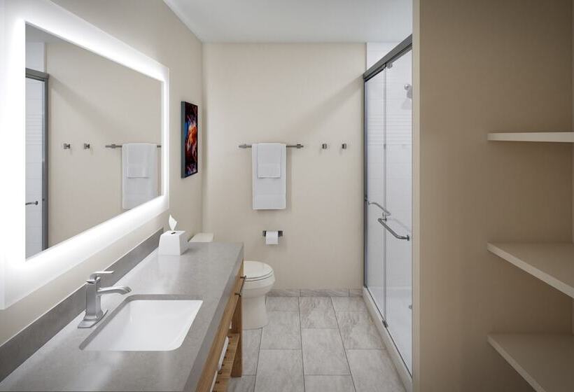 酒店 Candlewood Suites   Detroit   Auburn Hills, An Ihg