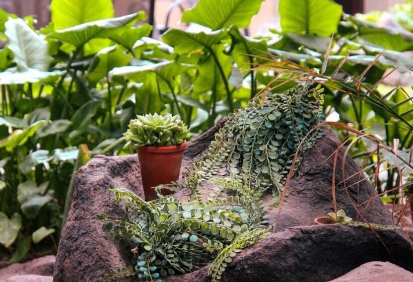 هتل The Residence At Villa Wiese