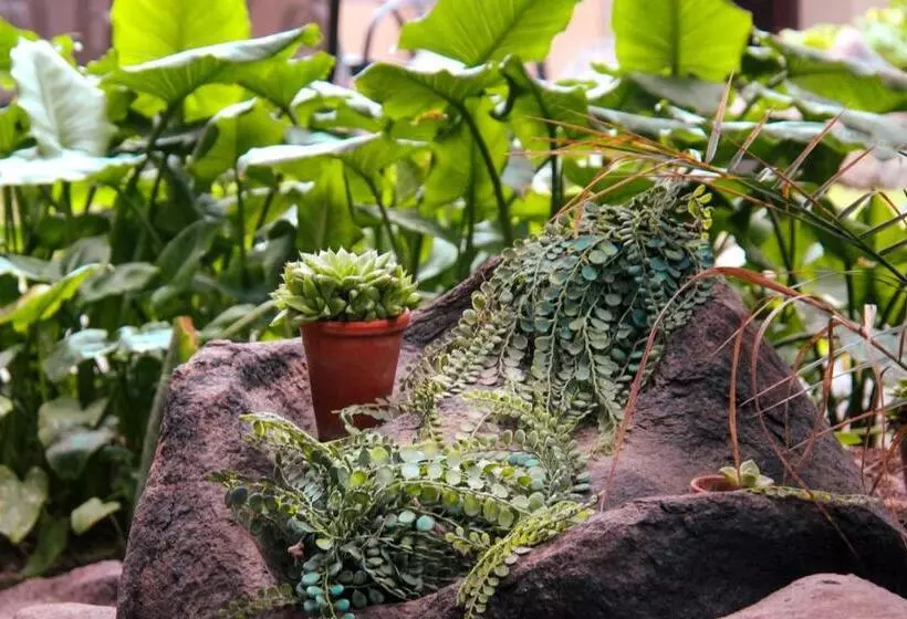 هتل The Residence At Villa Wiese