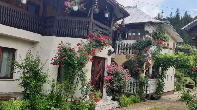 ペンション Casa Lucian