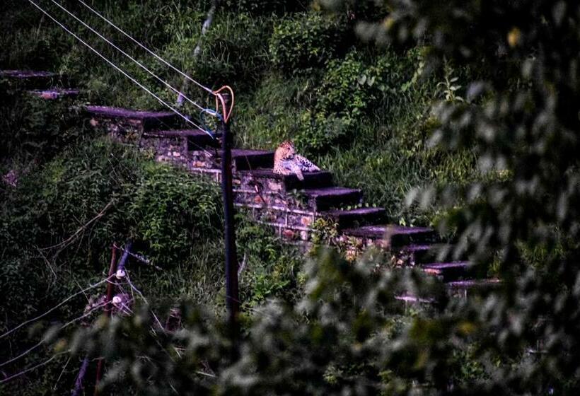 Пансион B2 Guest House