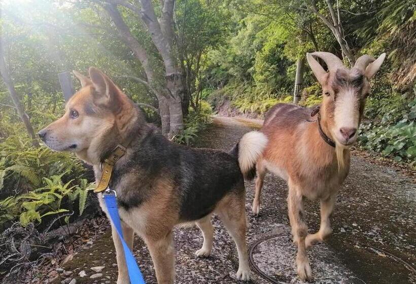 ベッドアンドブレックファースト はこにわ｜田舎暮らしが体験できる宿