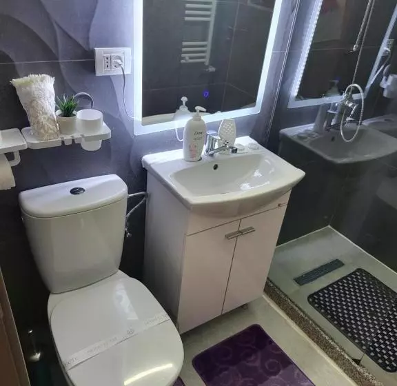 ペンション Soimii Bucovinei Residence