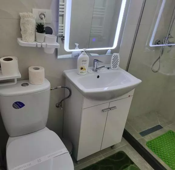 ペンション Soimii Bucovinei Residence