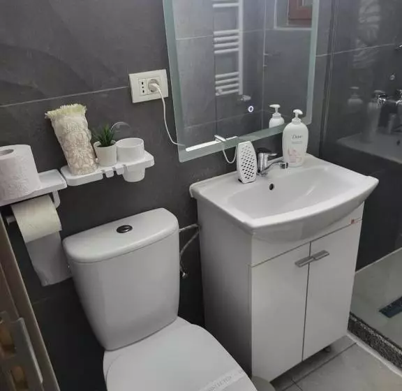 ペンション Soimii Bucovinei Residence