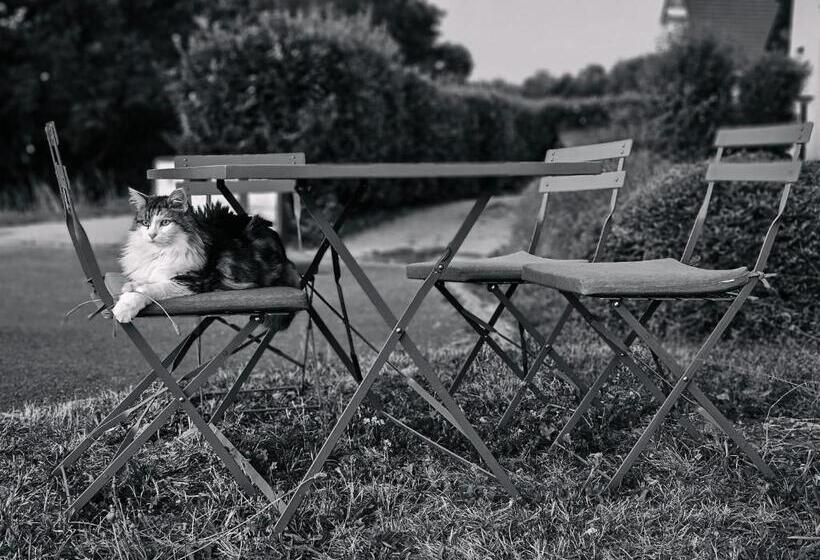 膳宿费 Logement Avec Billard, Home Cinéma Et Terrasse Privatisés