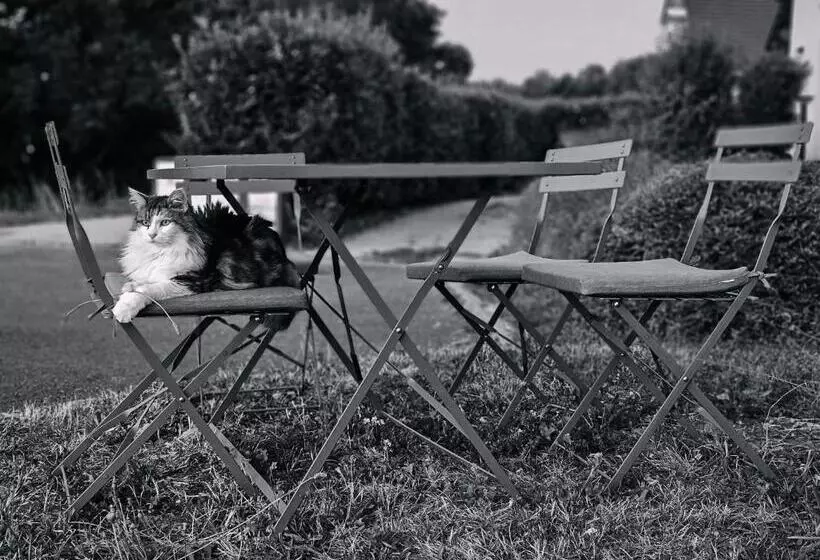 Majatalo Logement Avec Billard, Home Cinéma Et Terrasse Privatisés