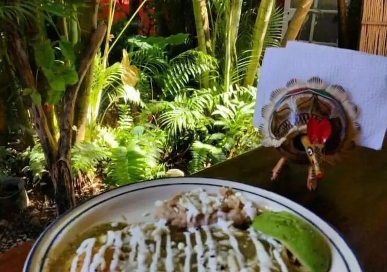 تختخواب و صبحانه Akoma Sayulita