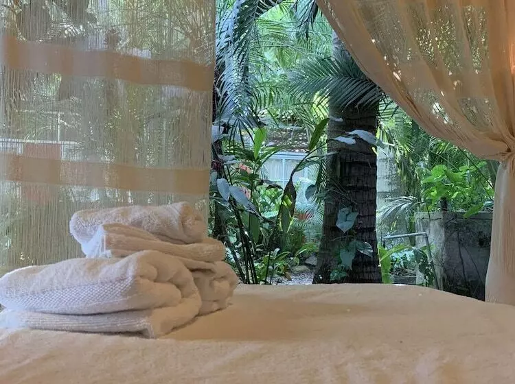 تختخواب و صبحانه Akoma Sayulita