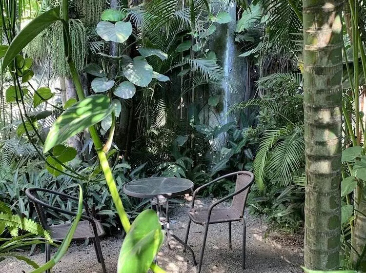 تختخواب و صبحانه Akoma Sayulita