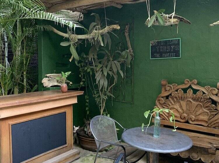 ベッドアンドブレックファースト Akoma Sayulita