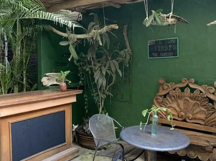 تختخواب و صبحانه Akoma Sayulita