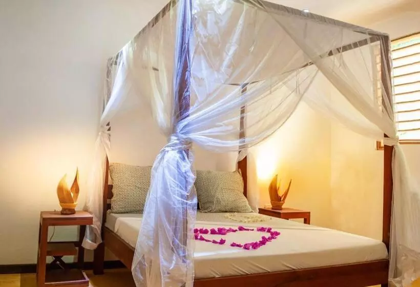 پانسیون Villa Colibri