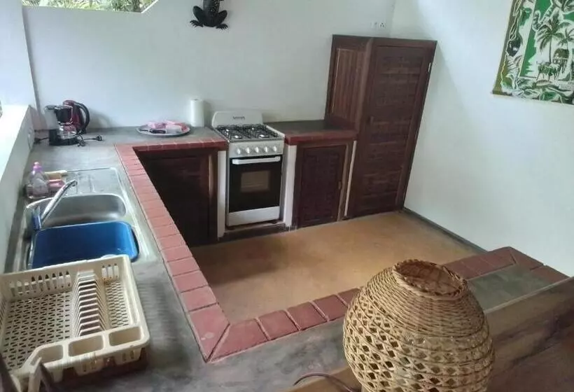 پانسیون Villa Colibri