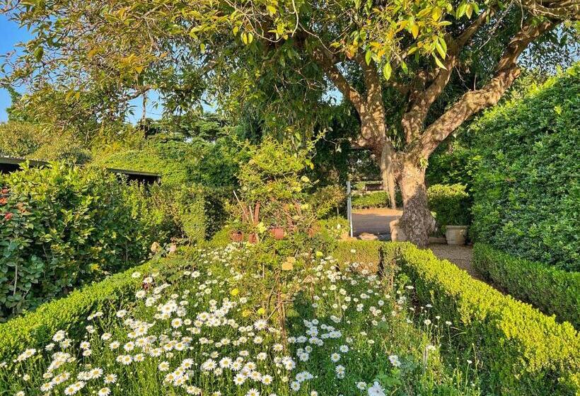 펜션 Chocolate Orchid