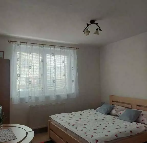 پانسیون Penzión U Janosika