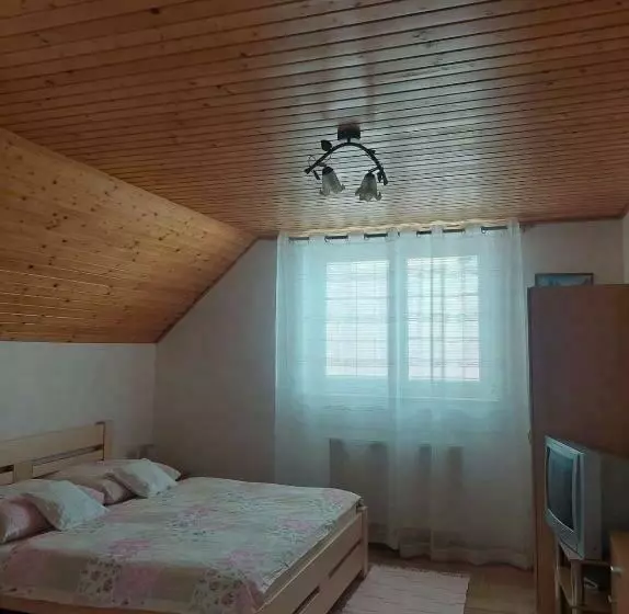 پانسیون Penzión U Janosika