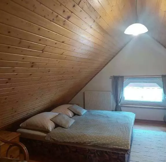 پانسیون Penzión U Janosika