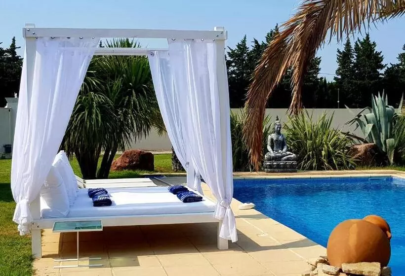 Aamiaismajoitus (B&B) Chambre Carpediem