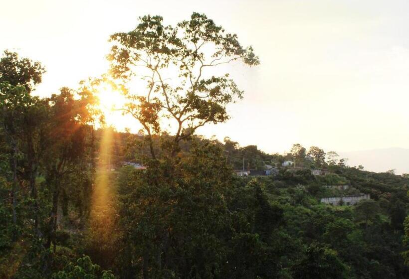 Finca Hotel Villa Gladys En Mesitas Del Colegio