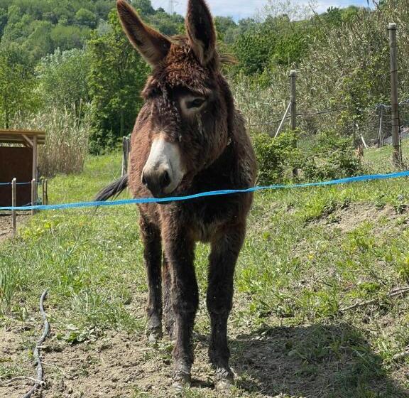 ホテル Agriturismo Ippocastano