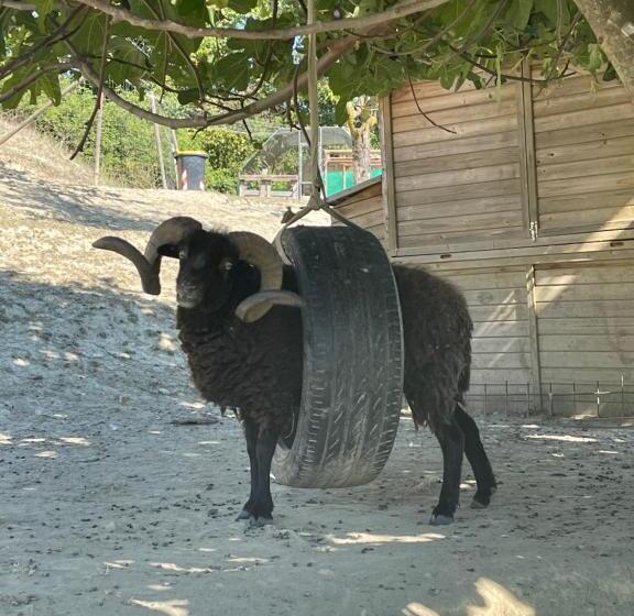 ホテル Agriturismo Ippocastano