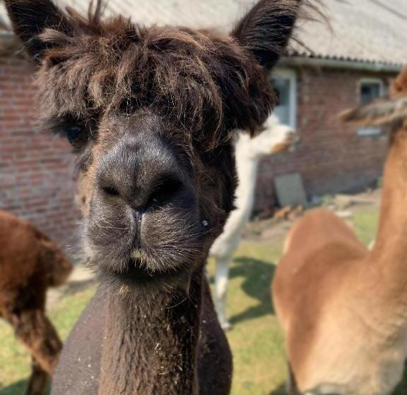 Отель Kastanienhof