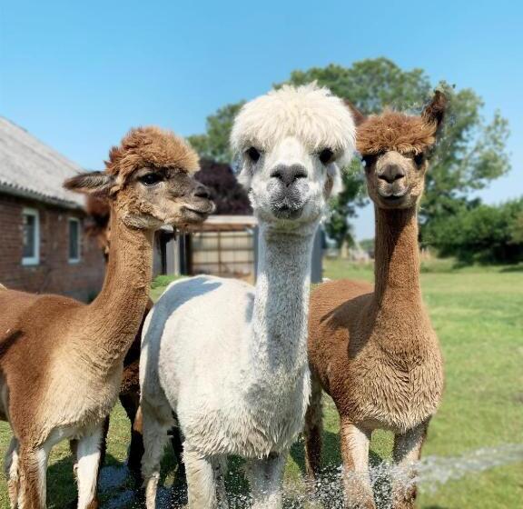 Отель Kastanienhof