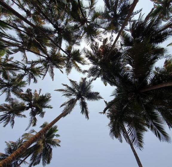 Pensão Santana Guest House