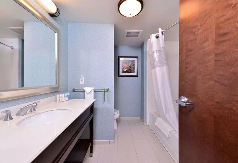 Otel Hampton Inn Potsdam, Ny