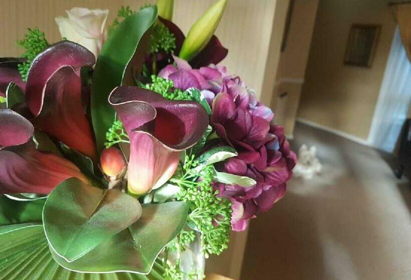 בית מלון כפרי The Bahamas