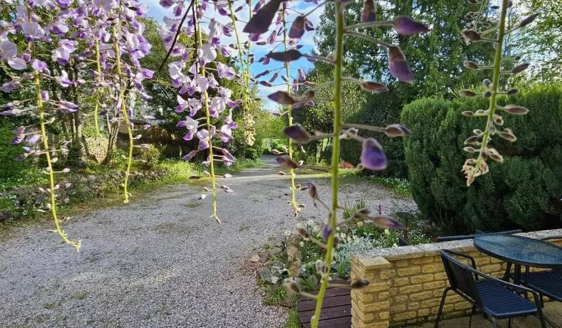 ホテル The Bahamas