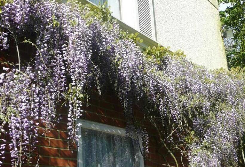 בית מלון כפרי The Bahamas