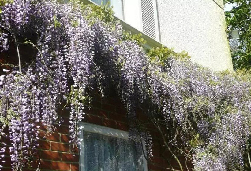 ホテル The Bahamas