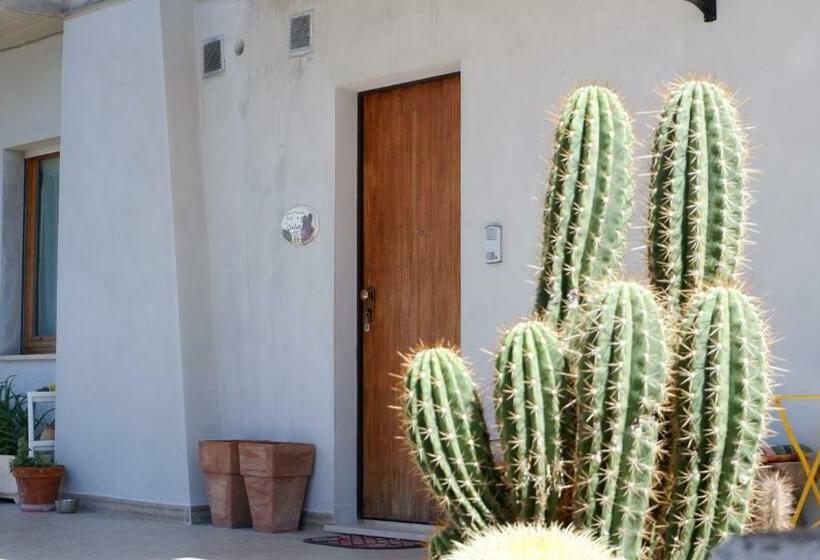 B&b Del Cactus