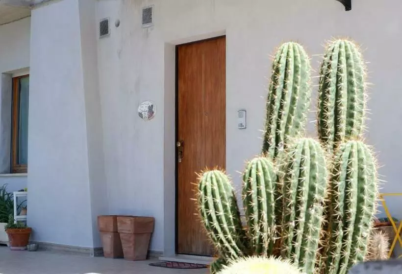 B&b Del Cactus