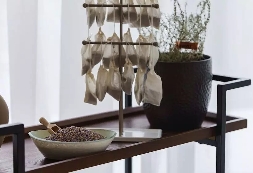 Ac Hotel St Petersburg Downtown