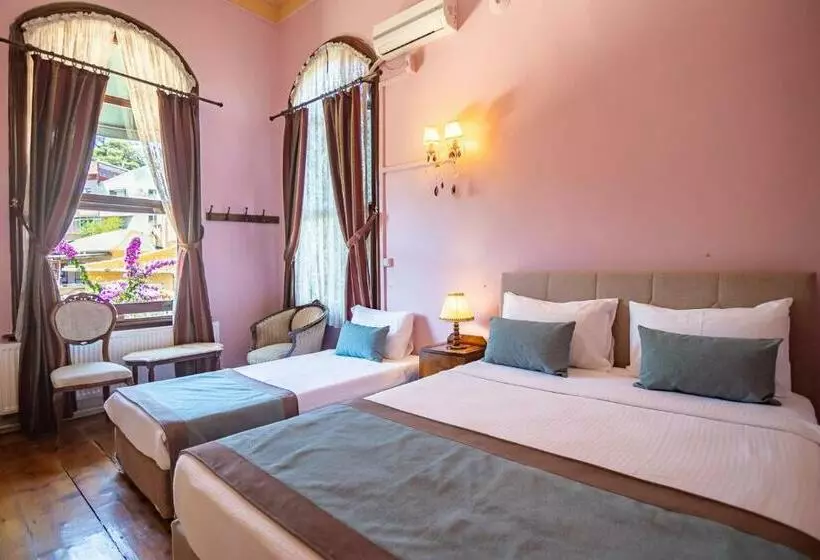 ホテル Büyükada Anastasia Meziki History Mansion