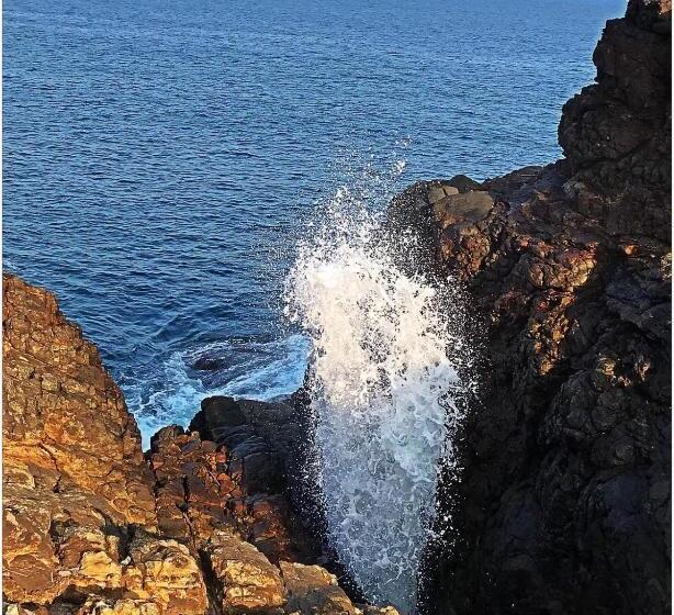 Pensione White Queen Residence