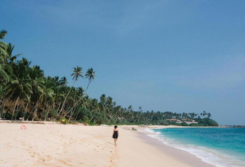 Pensione White Queen Residence