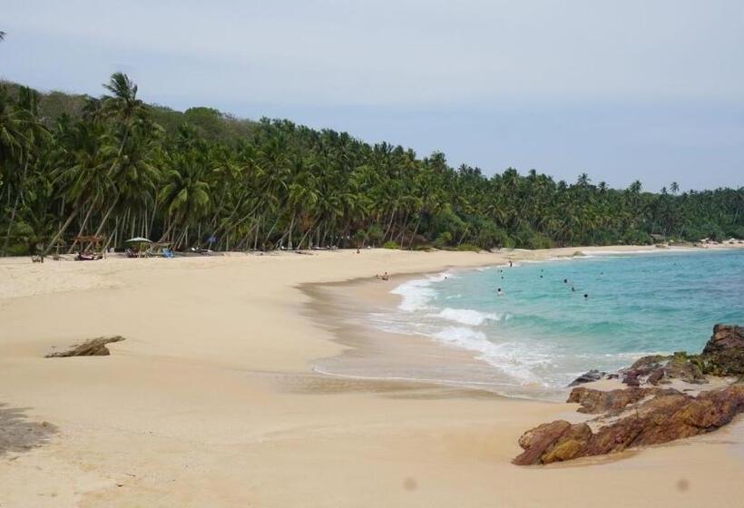 Pensione White Queen Residence