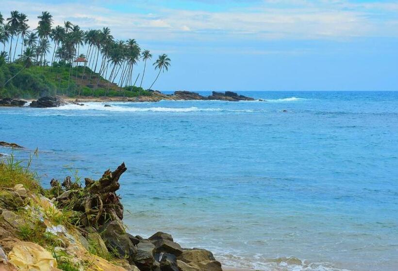 Pensione White Queen Residence