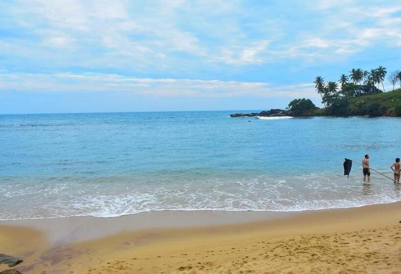 Pensione White Queen Residence