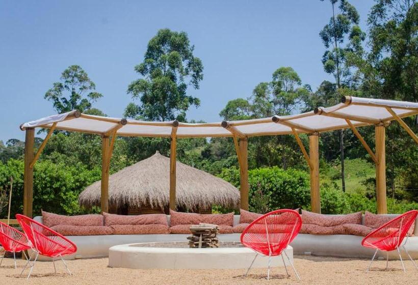 Pension Go Organic Club   Santo Antônio Do Pinhal Sp, Brasil