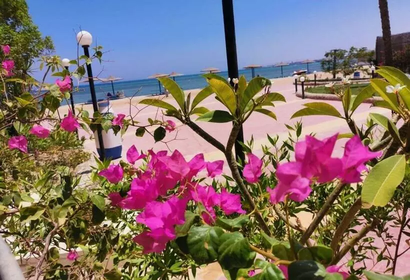 منتجع سيسيليا Cecelia Resort