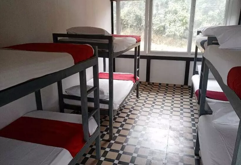 Oxygen Rainforest Resort