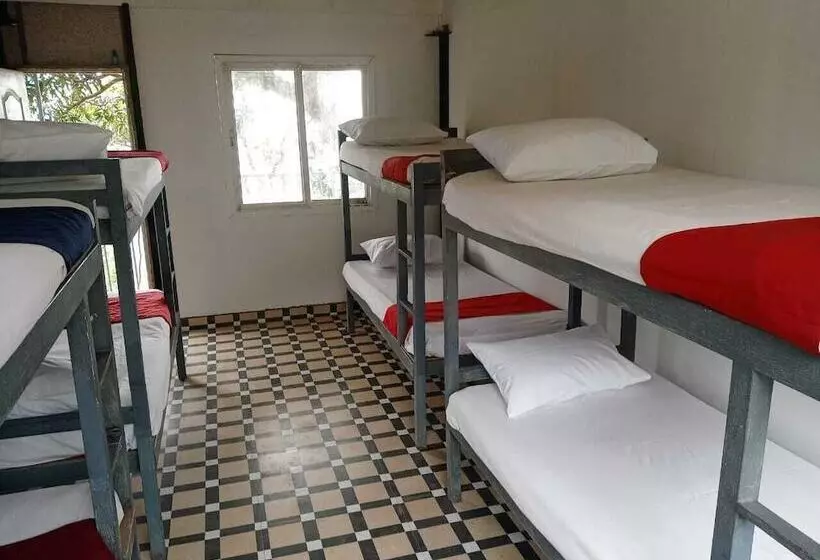 Oxygen Rainforest Resort