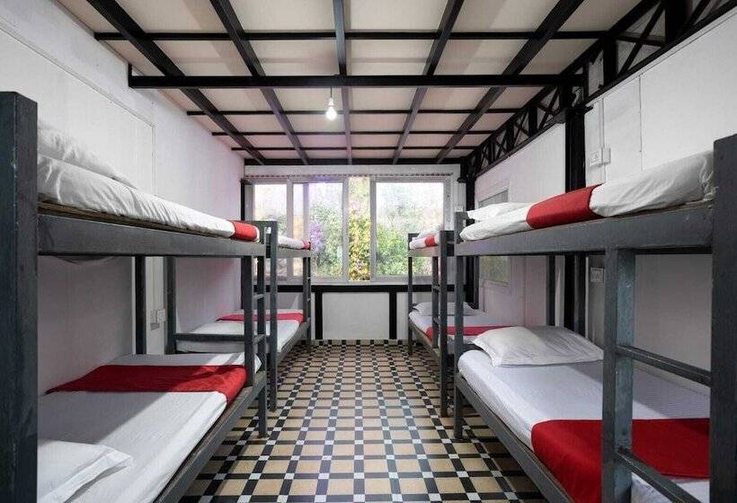 Oxygen Rainforest Resort