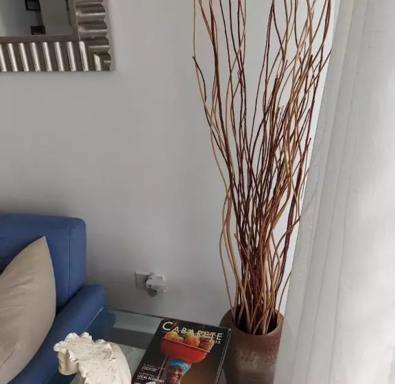 Ocean Palms   1bed 1bth King Suite Condo