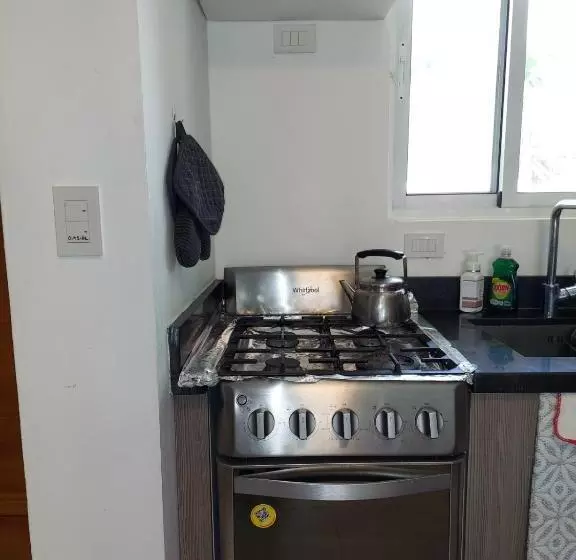 Ocean Palms   1bed 1bth King Suite Condo